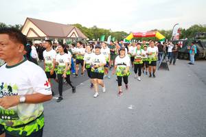 BIB: 
                            <button type="button" onclick="openModal(3530847)" class="btn btn-primary btn-sm float-right btn-popup" data-toggle="modal" data-target=".modal-high-quality">
                        <i class="fas fa-shopping-cart"></i> Add to Cart
                    </button>
                                            <button type="button" onclick="isThisMe(3530847, true)" class="btn btn-success btn-sm float-right btn-popup btn-isme hidden" data-toggle="tooltip" data-placement="bottom" title="นี่คือรูปของคุณใช่ไหม คลิกที่นี่เพื่อเอาเข้าอัลบั้ม">
                        <i class="fas fa-plus"></i> Add to album
                    </button>
                    <button type="button" onclick="isThisMe(3530847, false)" class="btn btn-warning btn-sm float-right btn-popup btn-isnotme hidden">
                        <i class="fas fa-ban"></i> Remove from album
                    </button>